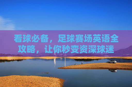 看球必备,足球赛场英语全攻略,让你秒变资深球迷