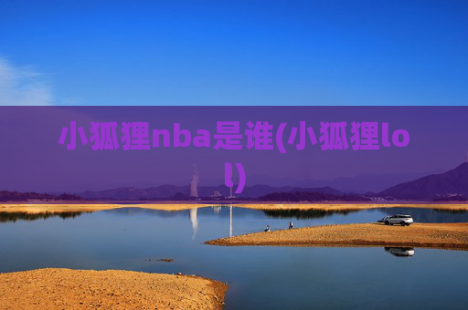 小狐狸nba是谁(小狐狸lol)