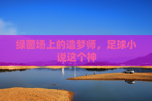 绿茵场上的造梦师,足球小说这个神
