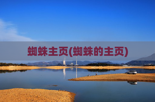 蜘蛛主页(蜘蛛的主页)
