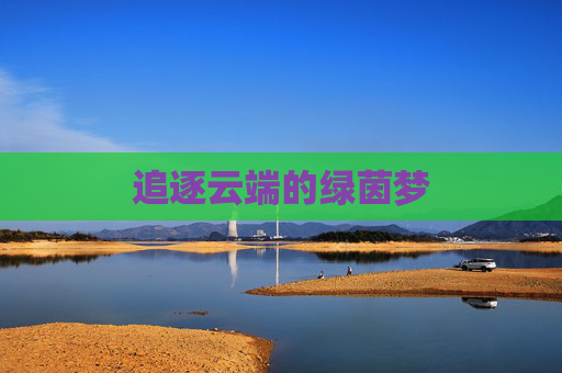 追逐云端的绿茵梦