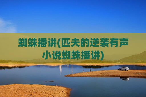 蜘蛛播讲(匹夫的逆袭有声小说蜘蛛播讲)