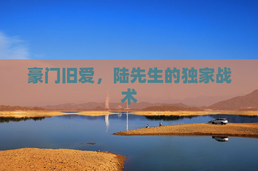 豪门旧爱,陆先生的独家战术