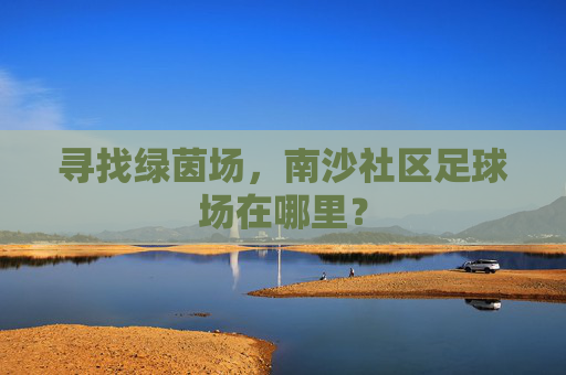 寻找绿茵场,南沙社区足球场在哪里?