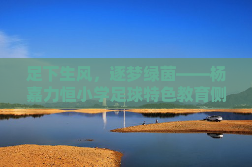 足下生风,逐梦绿茵——杨嘉力恒小学足球特色教育侧记