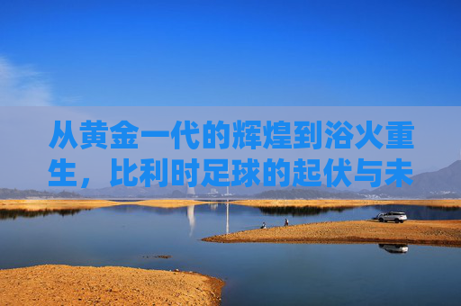 从黄金一代的辉煌到浴火重生,比利时足球的起伏与未来