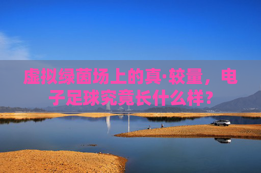 虚拟绿茵场上的真·较量，电子足球究竟长什么样？