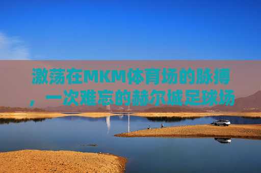 激荡在MKM体育场的脉搏，一次难忘的赫尔城足球场比赛之旅