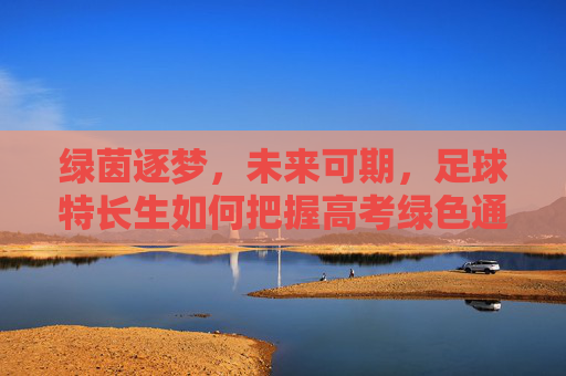 绿茵逐梦，未来可期，足球特长生如何把握高考绿色通道