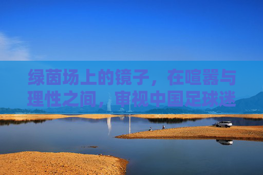 绿茵场上的镜子，在喧嚣与理性之间，审视中国足球迷的素质