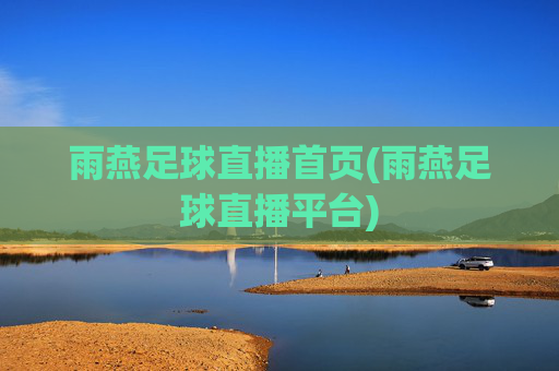 雨燕足球直播首页(雨燕足球直播平台)