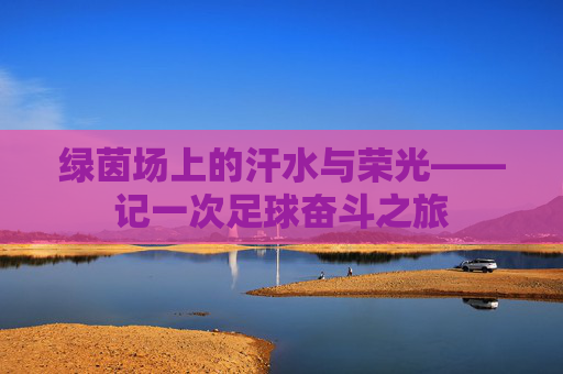绿茵场上的汗水与荣光——记一次足球奋斗之旅