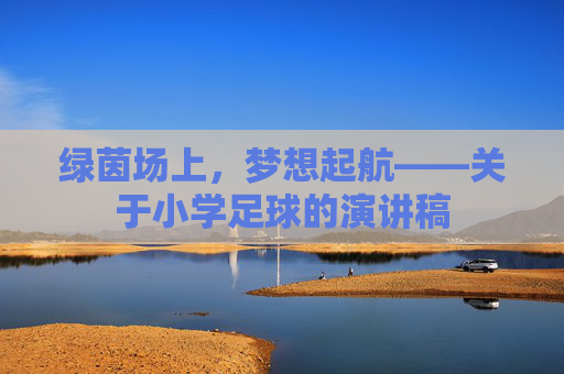 绿茵场上，梦想起航——关于小学足球的演讲稿