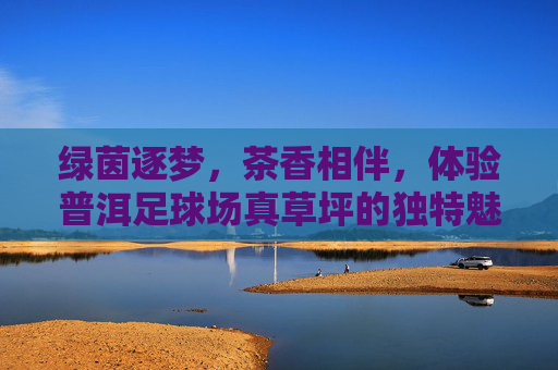 绿茵逐梦，茶香相伴，体验普洱足球场真草坪的独特魅力
