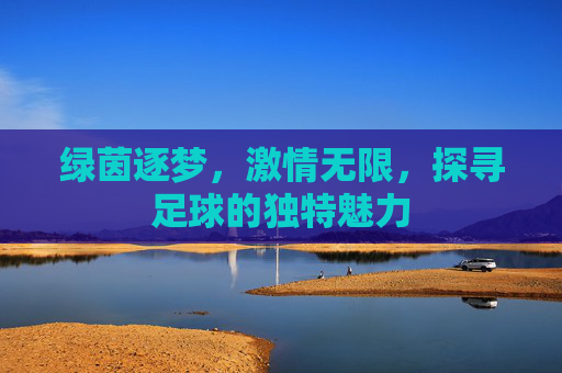 绿茵逐梦,激情无限,探寻足球的独特魅力