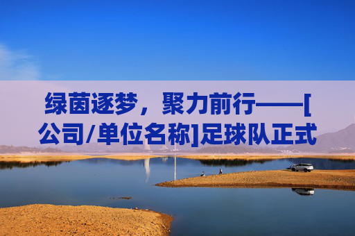 绿茵逐梦，聚力前行——[公司/单位名称]足球队正式成立