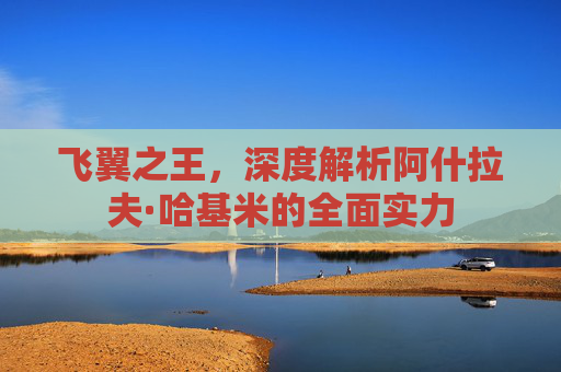 飞翼之王,深度解析阿什拉夫·哈基米的全面实力