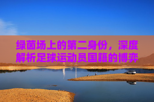 绿茵场上的第二身份，深度解析足球运动员国籍的博弈与融合