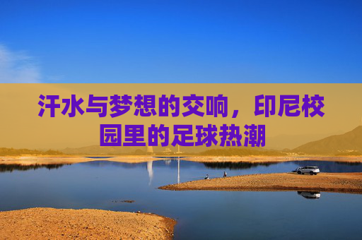 汗水与梦想的交响，印尼校园里的足球热潮