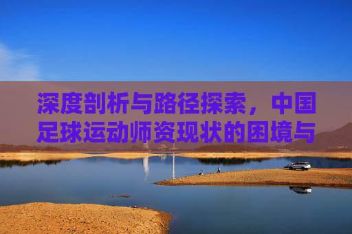 深度剖析与路径探索，中国足球运动师资现状的困境与突围