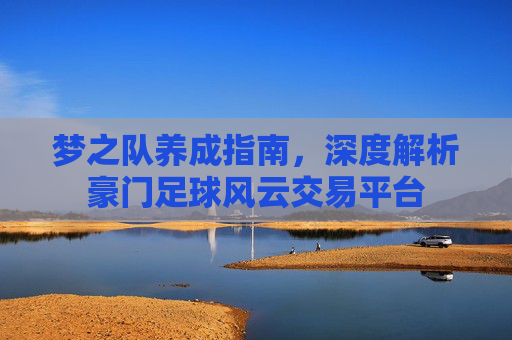 梦之队养成指南，深度解析豪门足球风云交易平台