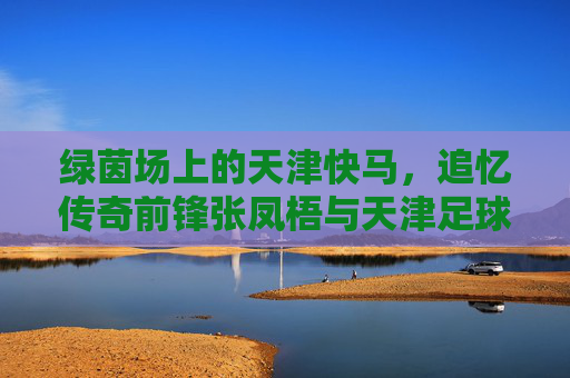 绿茵场上的天津快马,追忆传奇前锋张凤梧与天津足球的黄金岁月