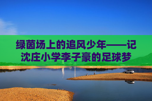 绿茵场上的追风少年——记沈庄小学李子豪的足球梦