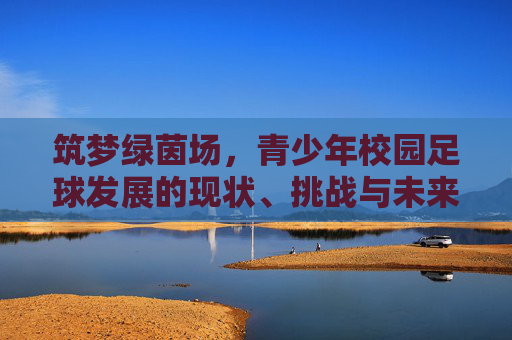 筑梦绿茵场，青少年校园足球发展的现状、挑战与未来展望