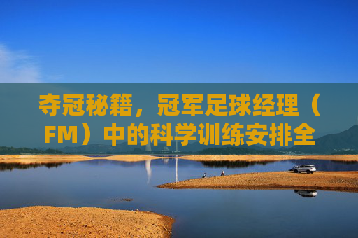 夺冠秘籍，冠军足球经理（FM）中的科学训练安排全解析