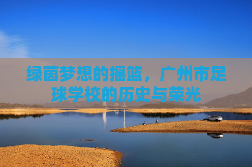 绿茵梦想的摇篮，广州市足球学校的历史与荣光