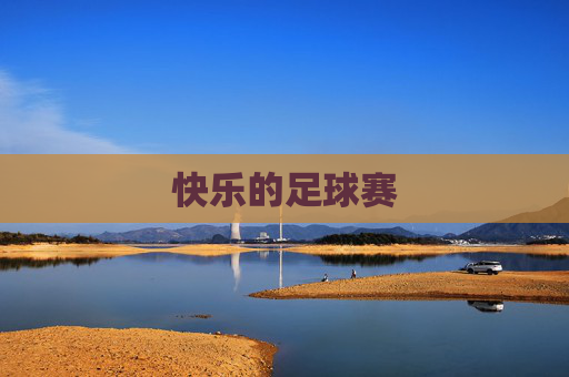 快乐的足球赛