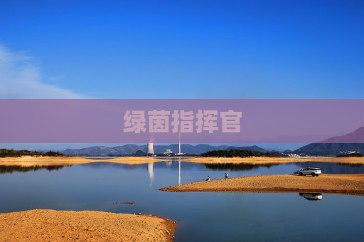 绿茵指挥官