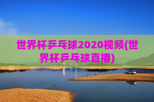 世界杯乒乓球2020视频(世界杯乒乓球直播)