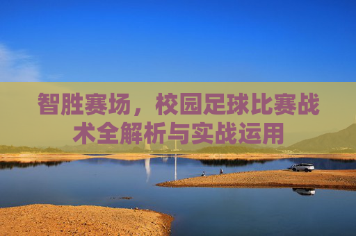 智胜赛场，校园足球比赛战术全解析与实战运用