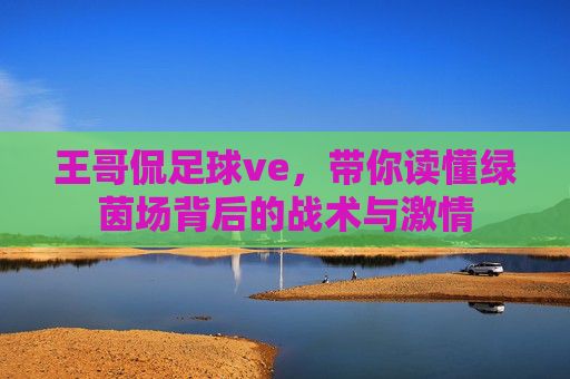 王哥侃足球ve，带你读懂绿茵场背后的战术与激情