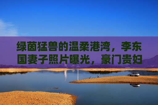 绿茵猛兽的温柔港湾,李东国妻子照片曝光,豪门贵妇气质尽显