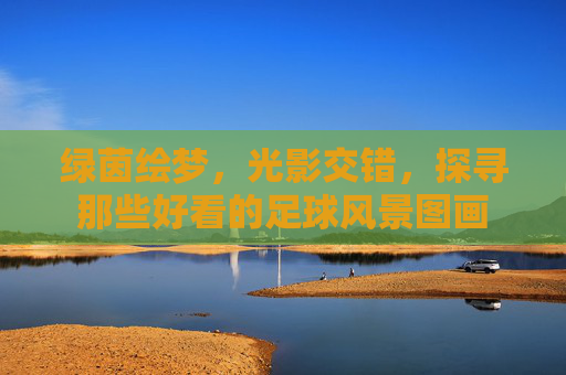 绿茵绘梦，光影交错，探寻那些好看的足球风景图画