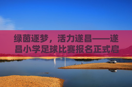 绿茵逐梦，活力遂昌——遂昌小学足球比赛报名正式启动