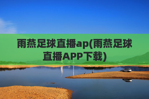 雨燕足球直播ap(雨燕足球直播APP下载)