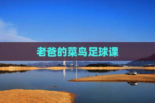 老爸的菜鸟足球课