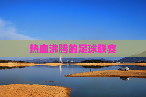 热血沸腾的足球联赛