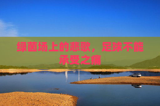 绿茵场上的悲歌，足球不能承受之痛