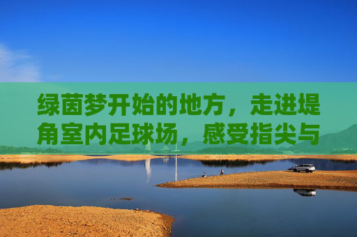 绿茵梦开始的地方，走进堤角室内足球场，感受指尖与脚尖的激情碰撞