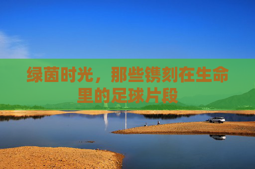 绿茵时光,那些镌刻在生命里的足球片段