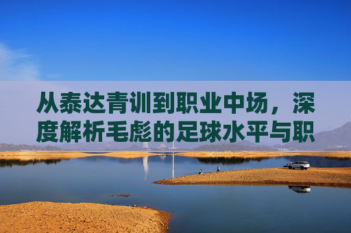 从泰达青训到职业中场，深度解析毛彪的足球水平与职业生涯