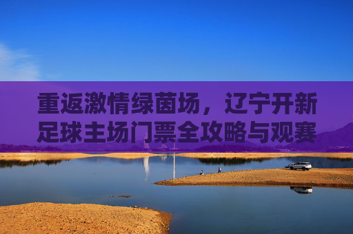 重返激情绿茵场,辽宁开新足球主场门票全攻略与观赛指南
