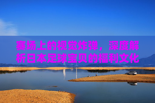赛场上的视觉炸弹,深度解析日本足球宝贝的福利文化与营销之道