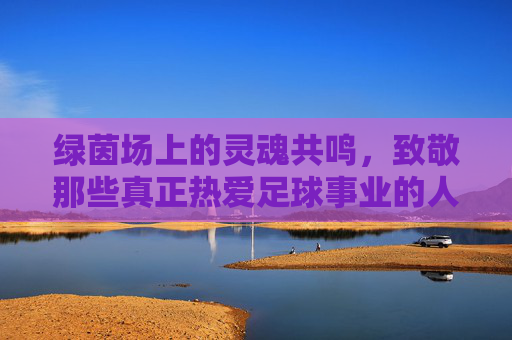 绿茵场上的灵魂共鸣，致敬那些真正热爱足球事业的人