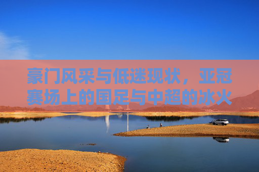 豪门风采与低迷现状,亚冠赛场上的国足与中超的冰火两重天