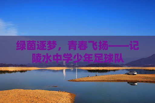 绿茵逐梦,青春飞扬——记陵水中学少年足球队
